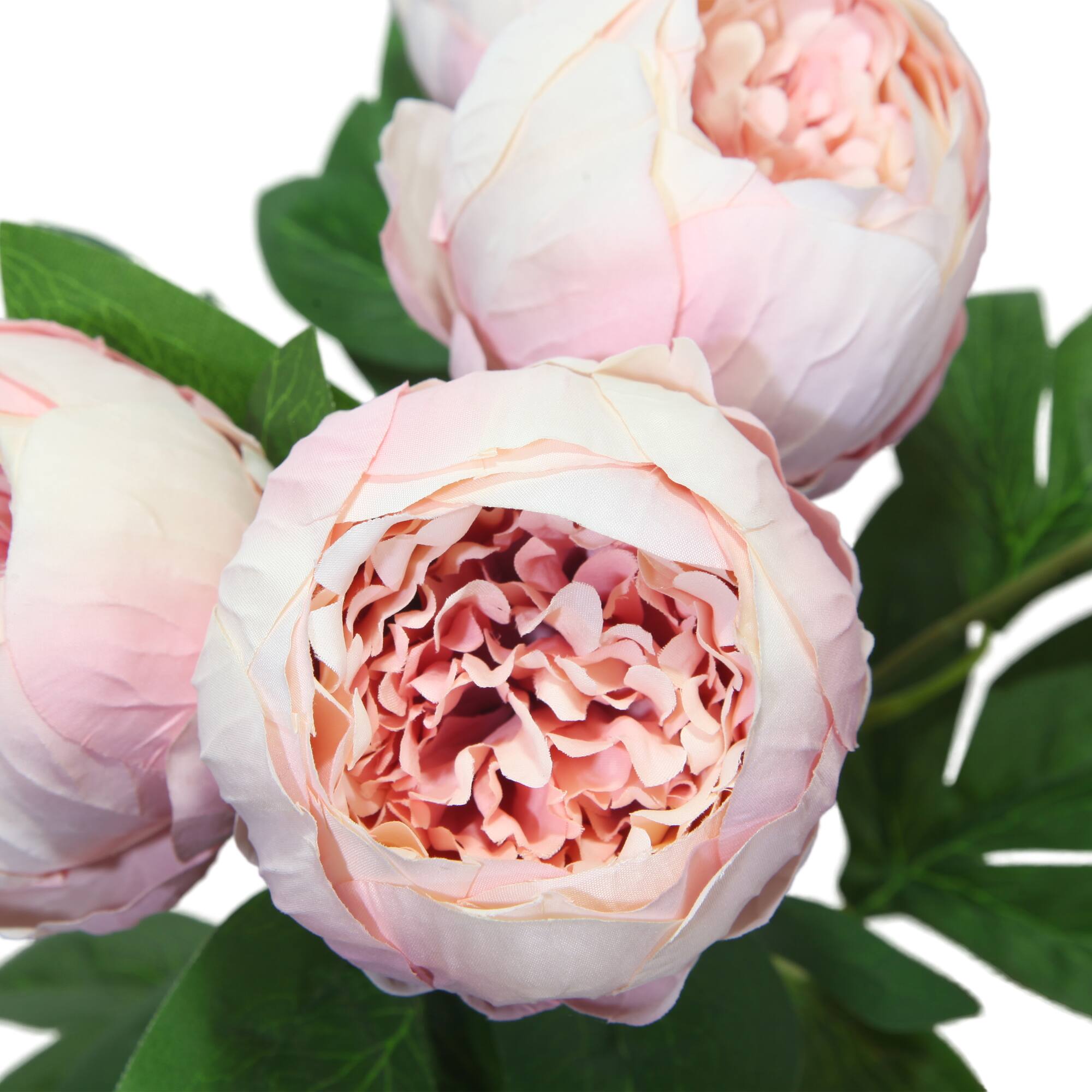 20" Light Pink Peony Bush by Ashland®